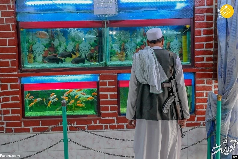 (تصاویر)